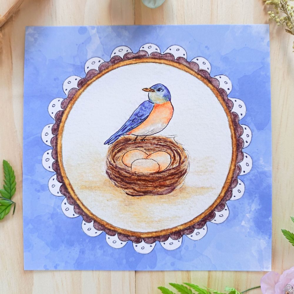 Carte oiseau bleu Carte oiseau bleu