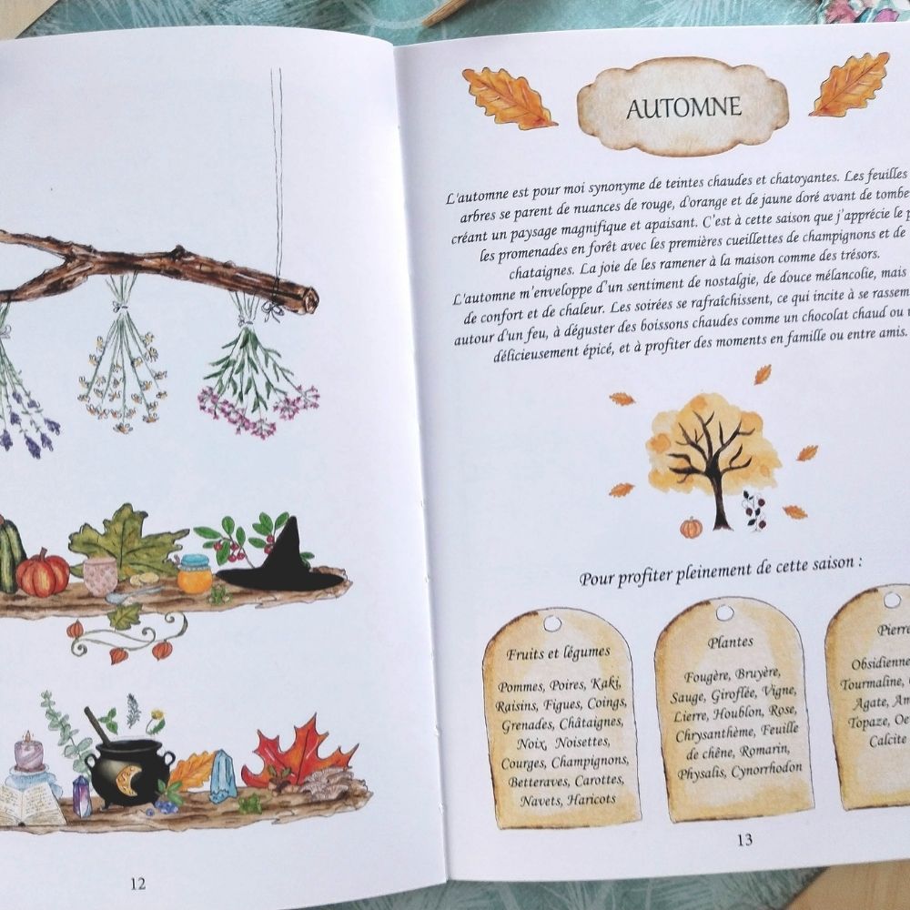 mon-grimoire-des-saisons (1) grimoire roue de l'année