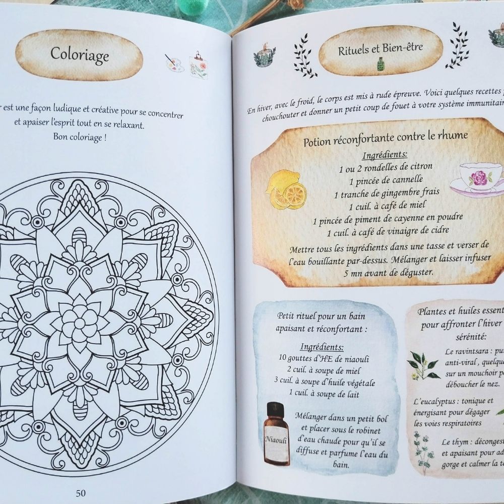 mon-grimoire-des-saisons (3) livre illustré grimoire des saisons et roue de l'année
