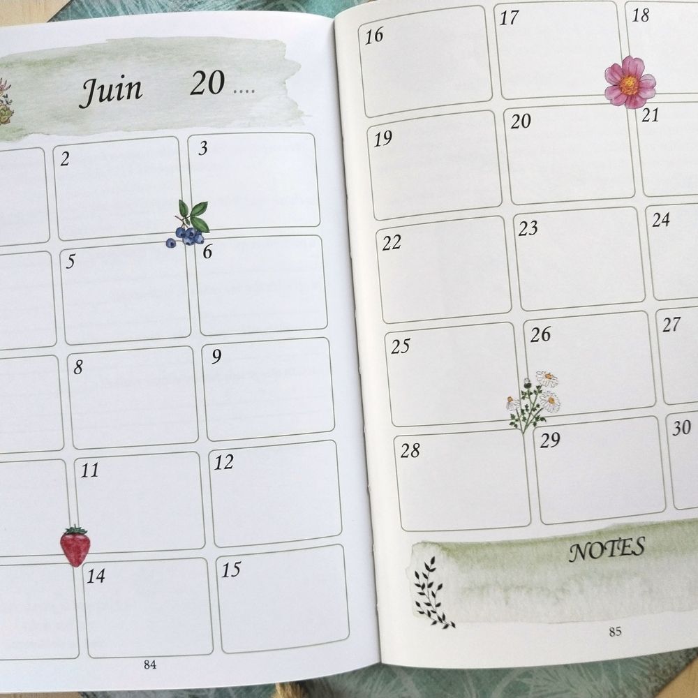 mon-grimoire-des-saisons (4) livre agenda perpétuel des saisons